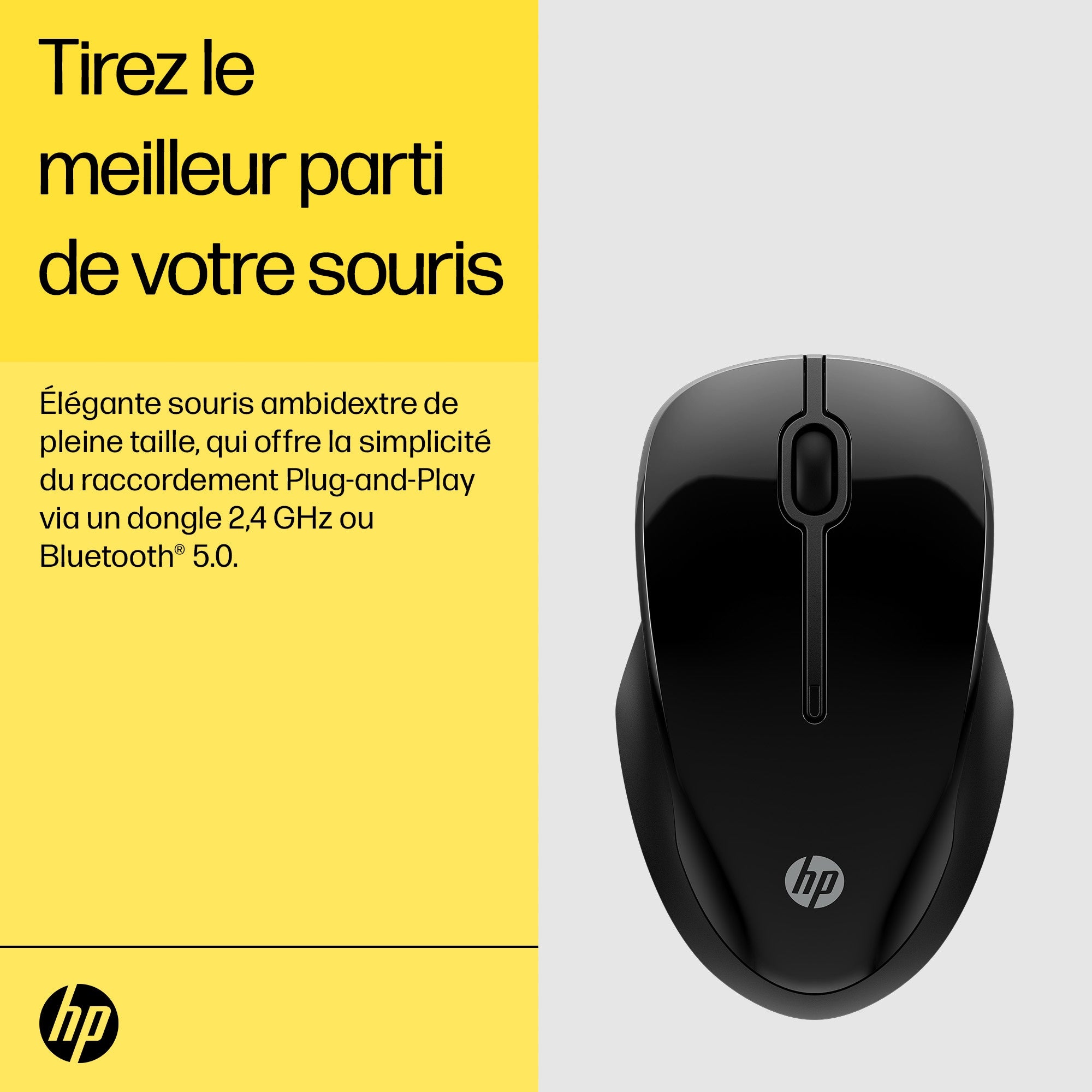 HP 250 Dual Wireless Mouse