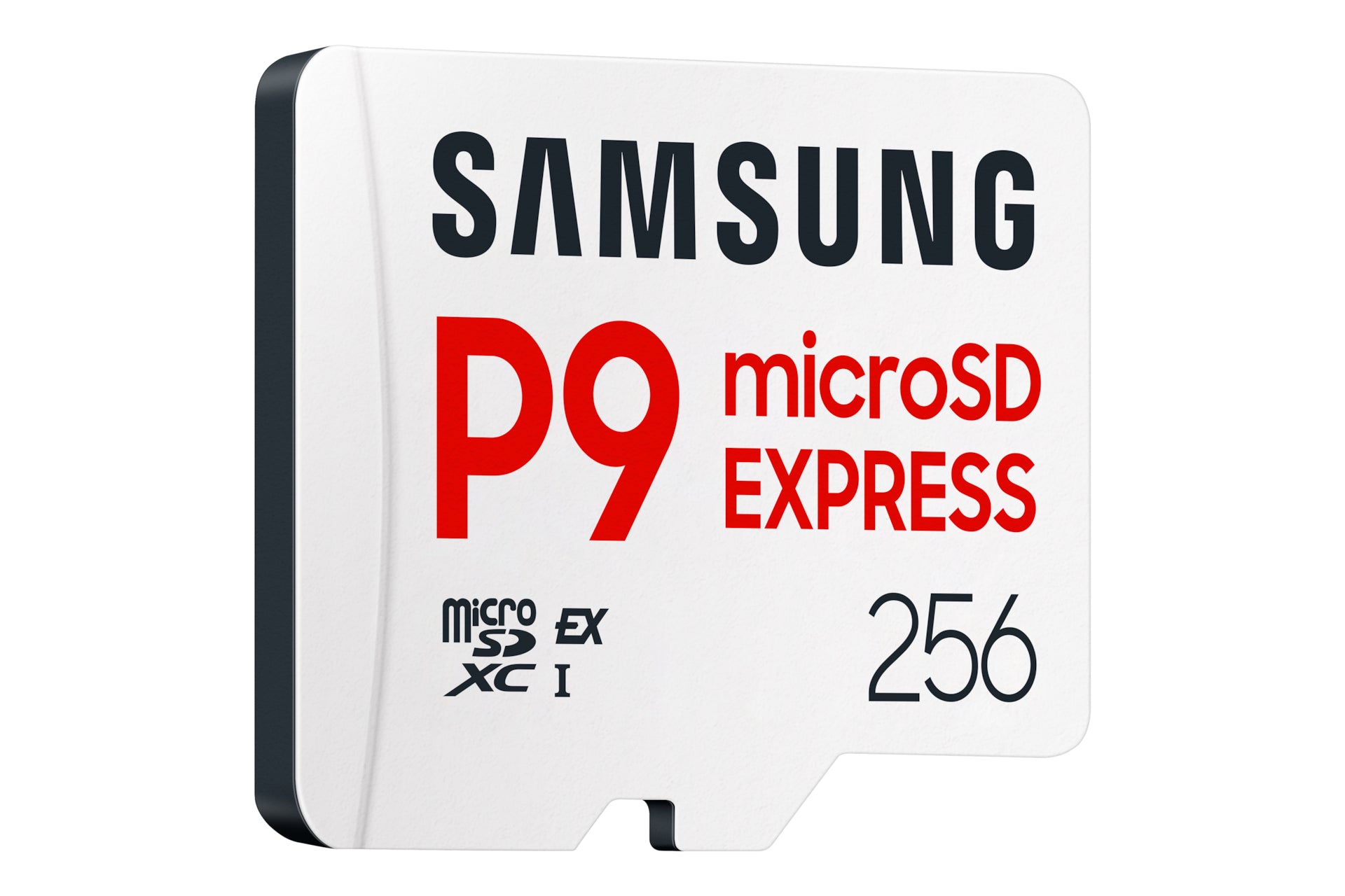 Samsung MicroSD 256GB P9 Express