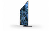 55" OLED Tuner and 3yrs PrimeSupport