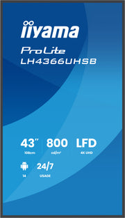 43" 3840x2160 UHD VA VESA Mount 300x300