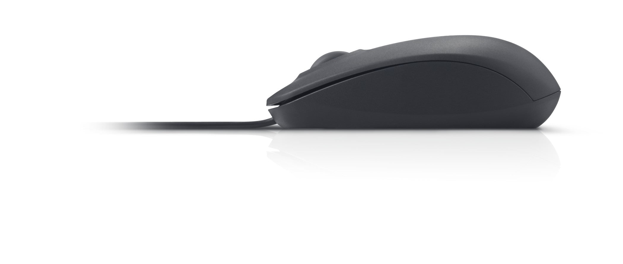 Dell Optical Mouse-MS116 Black
