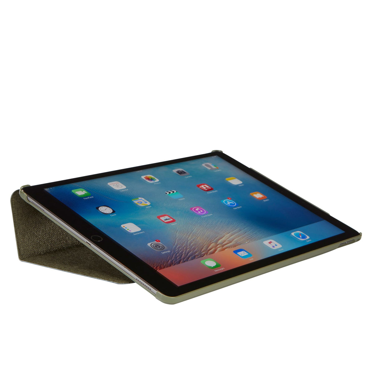 Snapview Folio for iPad Pro