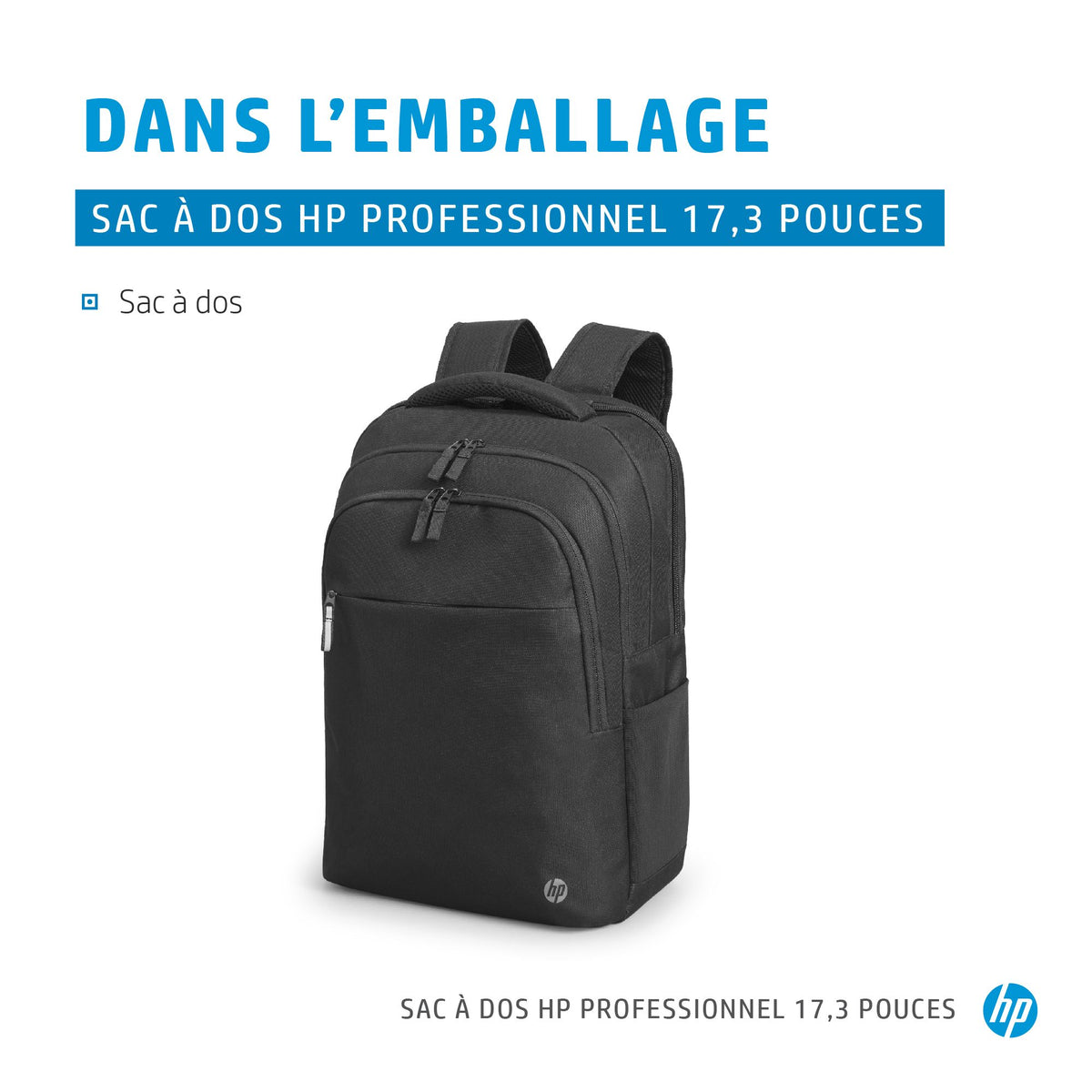 HP Prof 17.3 Laptop Bckpck
