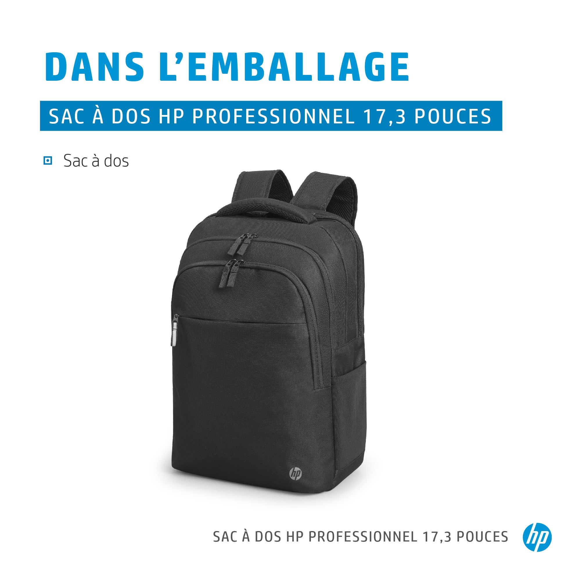 HP Prof 17.3 Laptop Bckpck