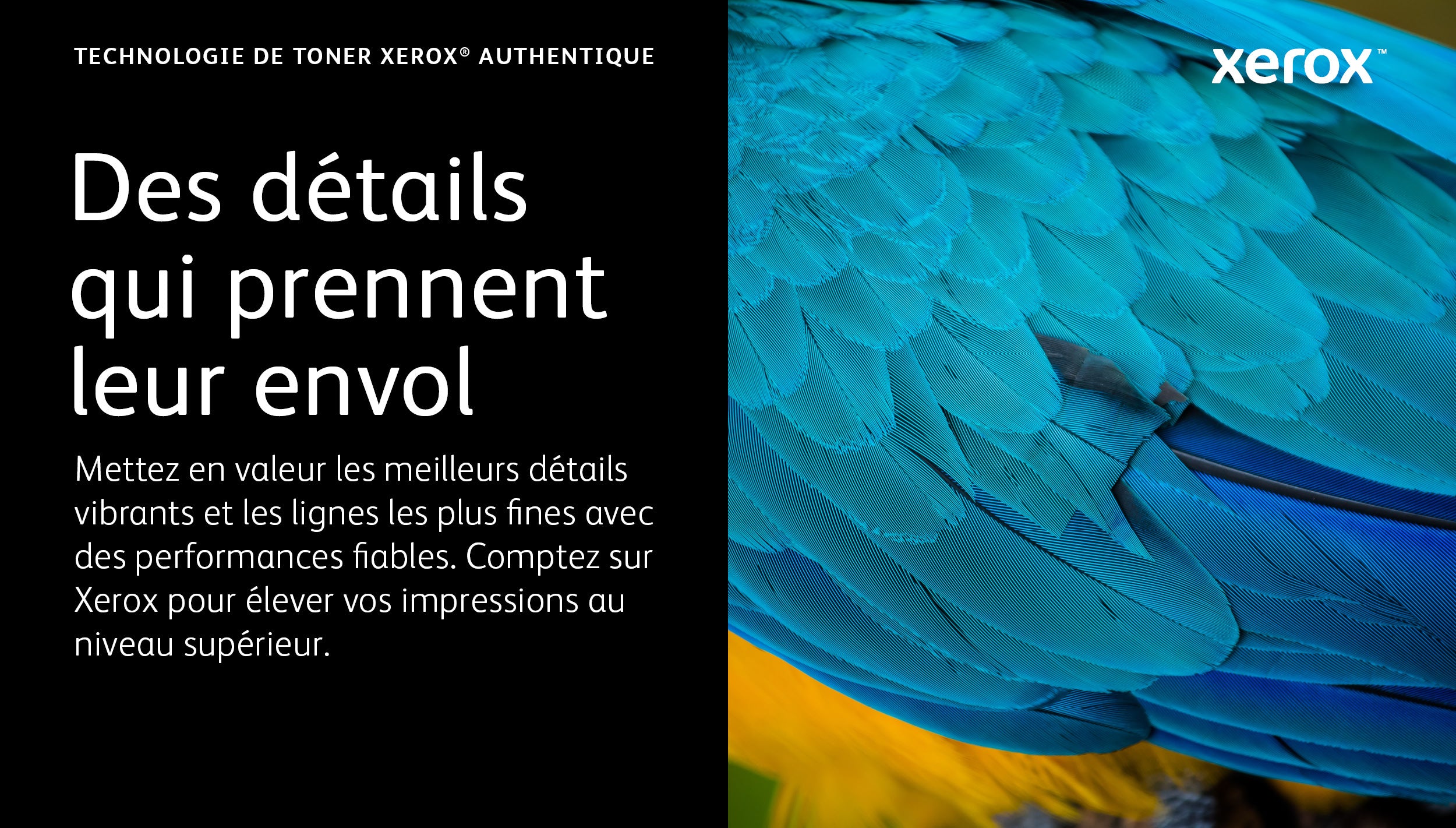 B620 B625 Extra High Capacity Blk TonerC