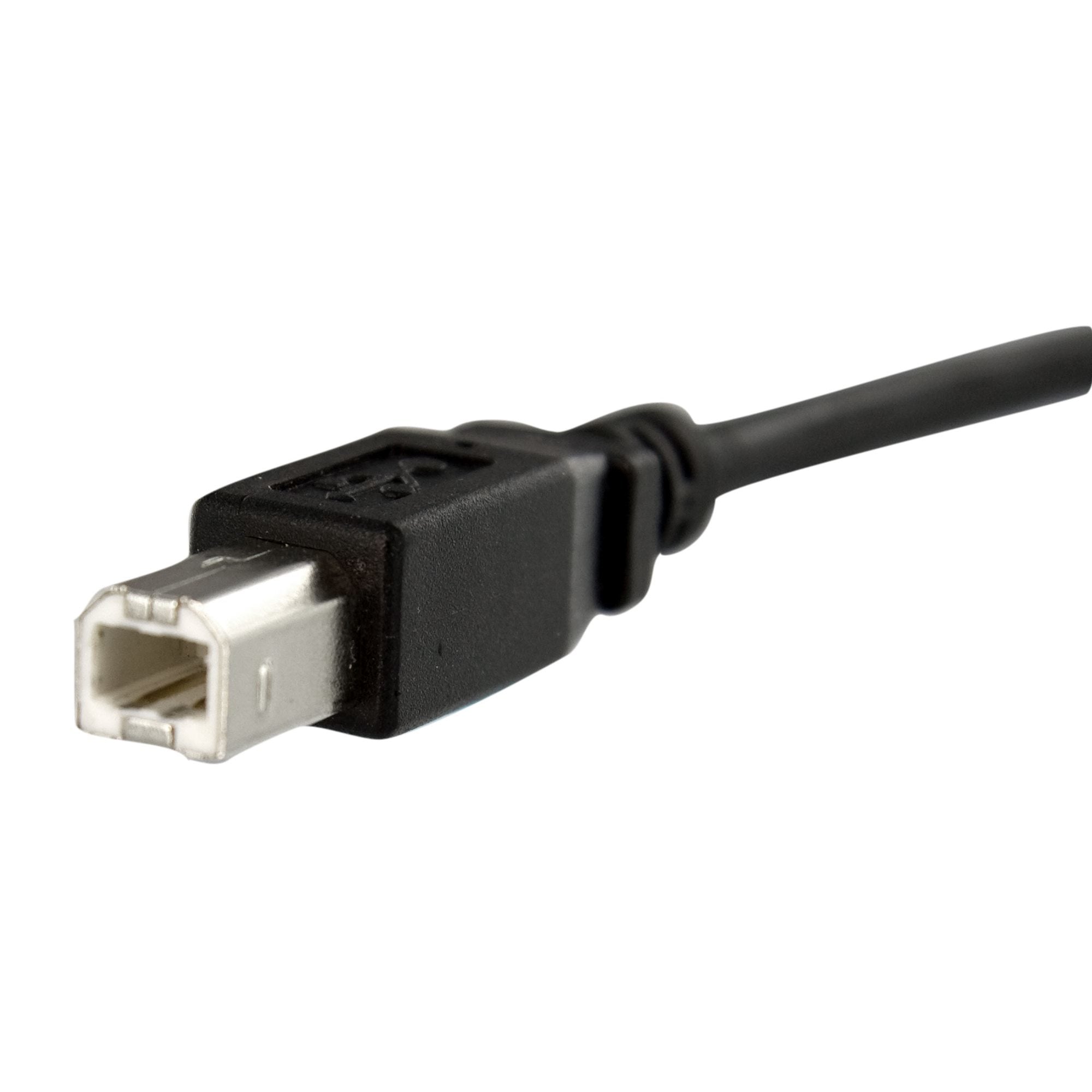 1ft Panel Mount USB B to B Cable - F/M