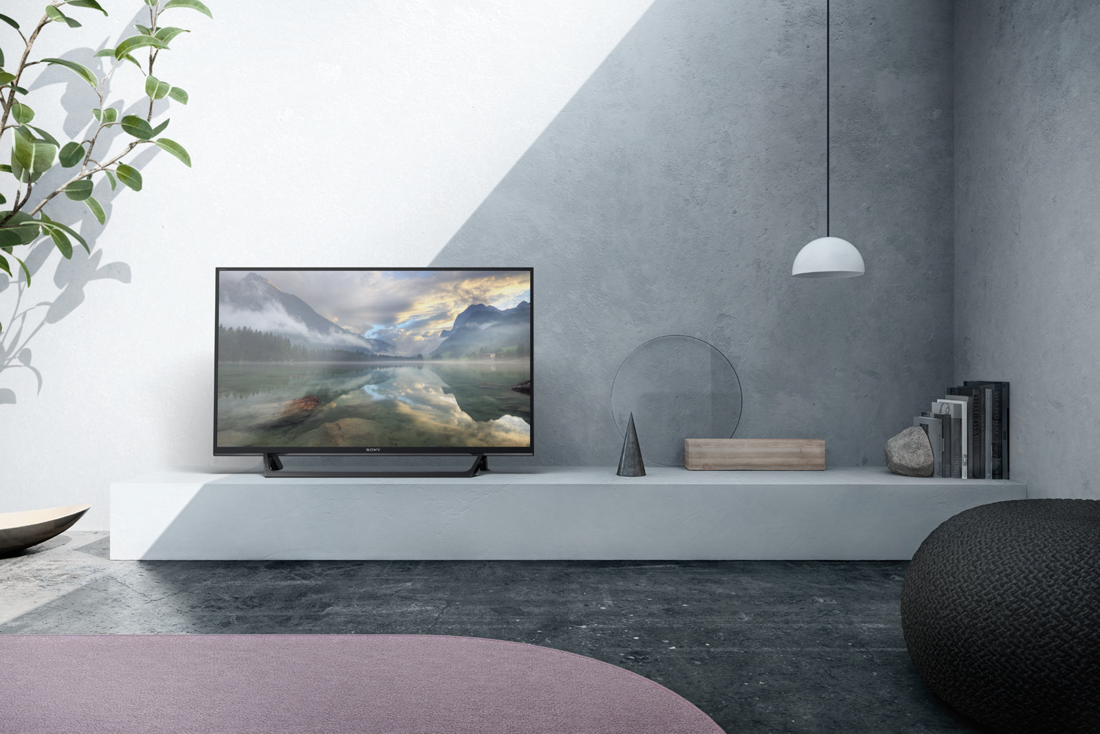 SONY- Téléviseur professionnel 32"- FWD-32W6605/T