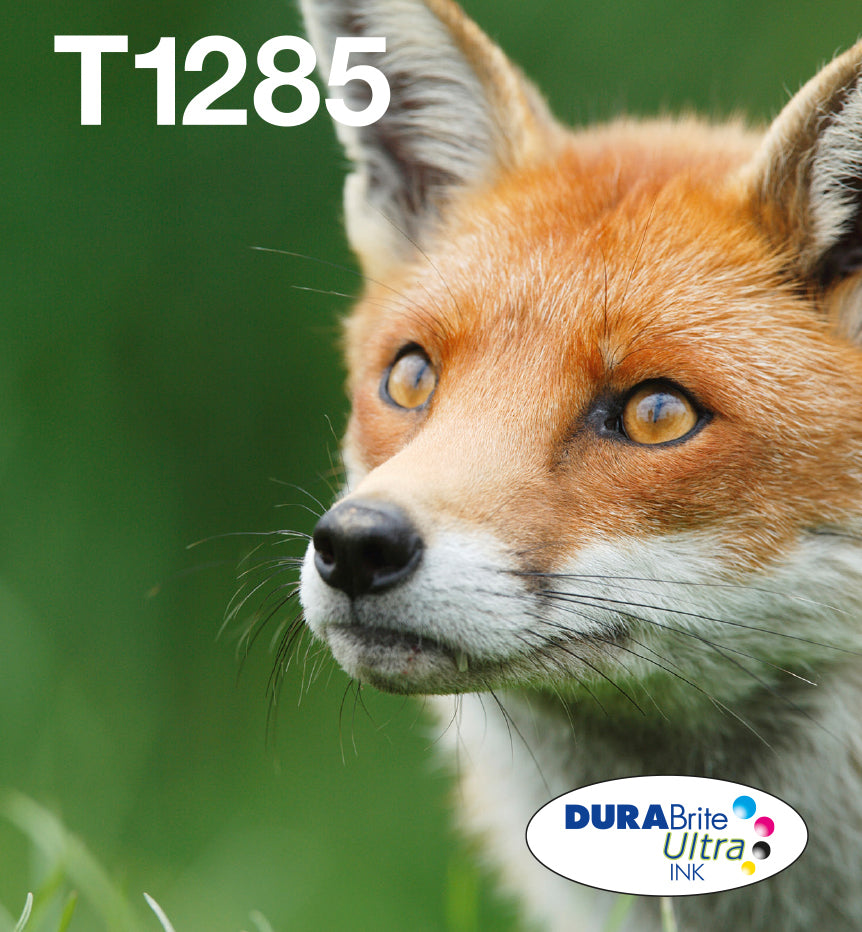 Ink/T128 EasyMail Fox CMYK