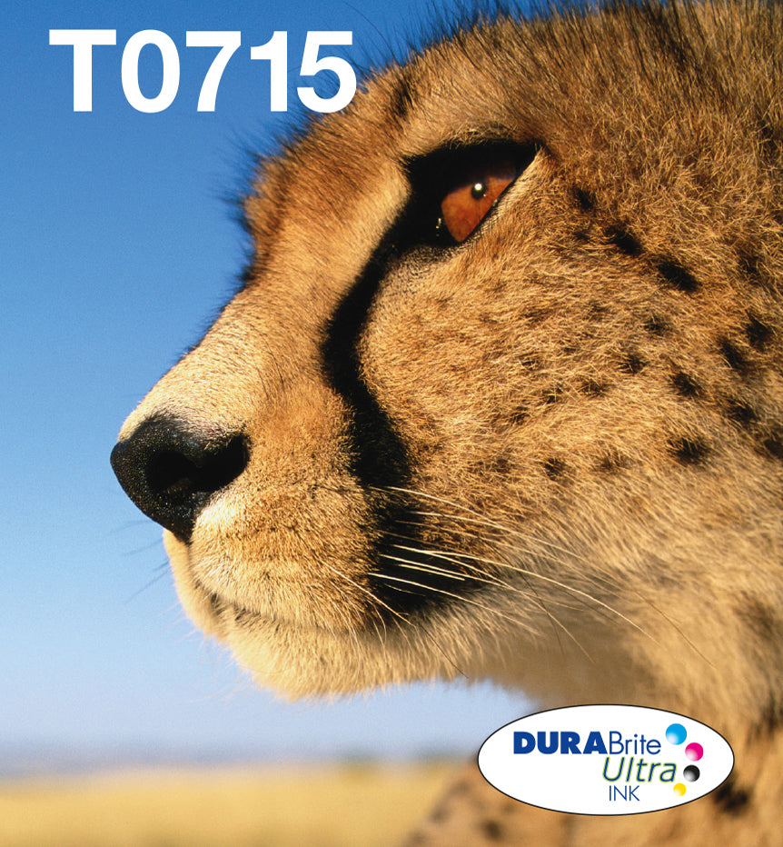 EPSON 2LB EasyMail MP Cheetah DURABrite Ultra CMYK