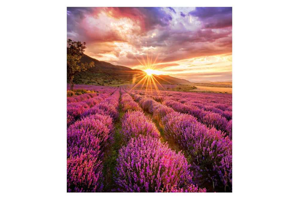 Samsung LED Signage P1.5
