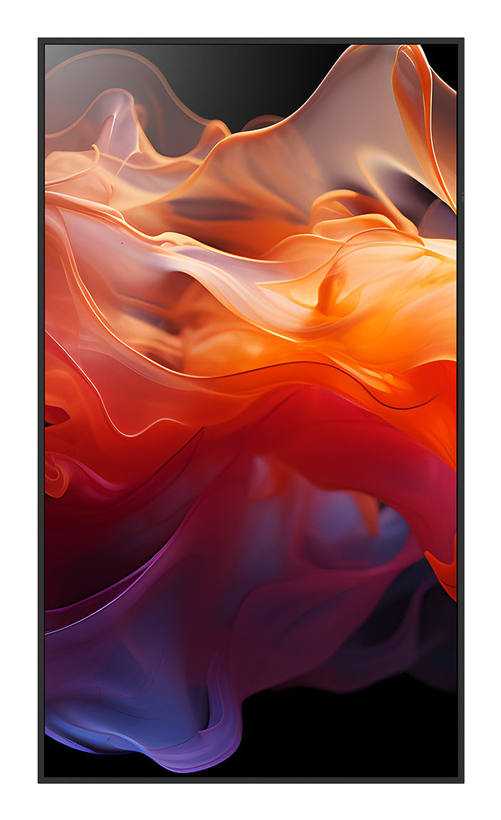 MultiSync E869
