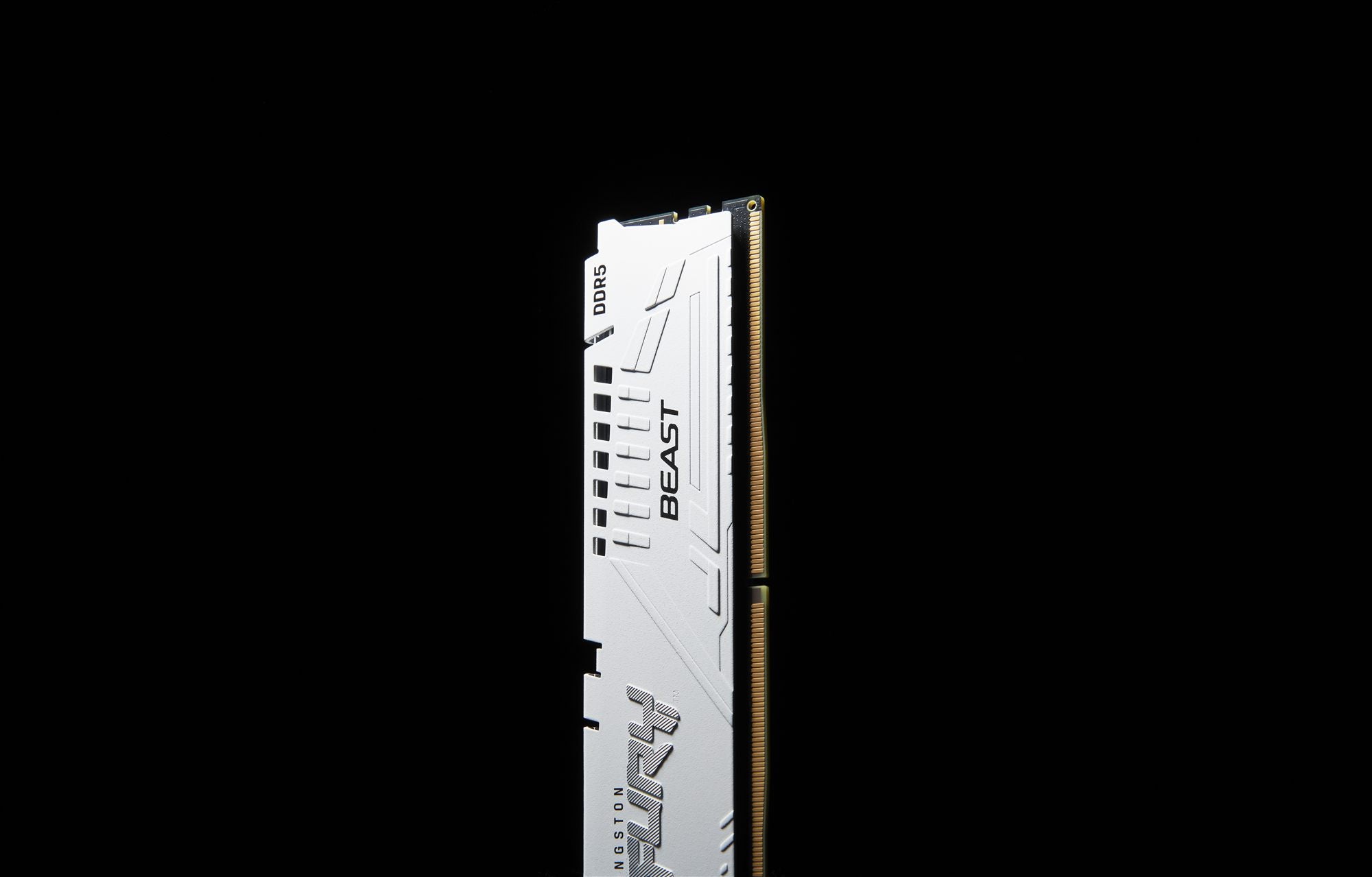 KINGSTON FURY Beast 64Go DIMM DDR5 5600MT/s DDR5 CL40 Kit of 2 White XMP