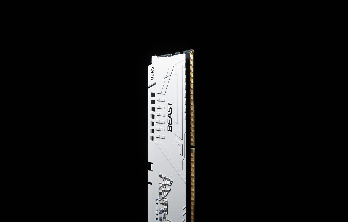 KINGSTON FURY Beast 16Go DIMM DDR5 5600MT/s DDR5 CL36 White EXPO
