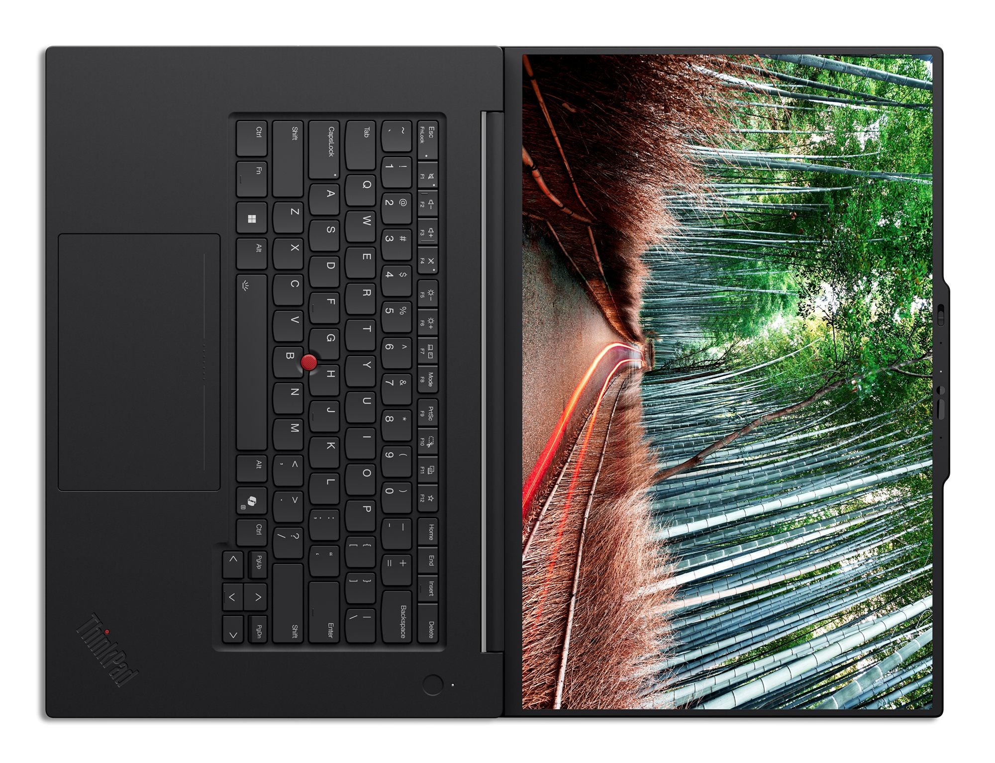LENOVO ThinkPad T1g Gen 8 Intel Core Ultra 7 255H 16p WUXGA 32Go 1To SSD M.2 2280 PCIe GeForce RTX 5060 8Go W11P 3YR Premier NBD