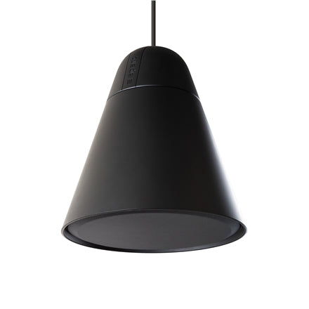 Biamp Hanging speaker 6.5in 60W 70/100V Black