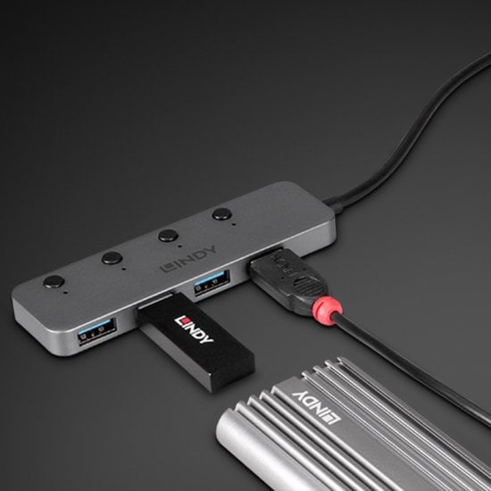 LINDY 4 Port USB 3.2 Type C Hub with On/Off Switches