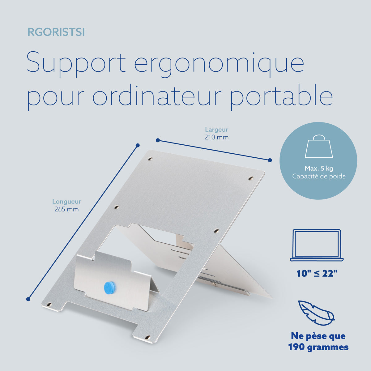 R-GO TOOLS Support pour PC portable Riser Flexible, argent