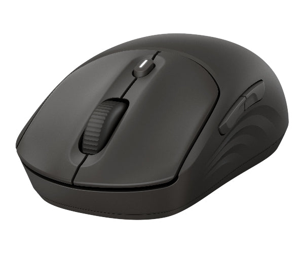 HP 405 Quiet BLK Wireless Mouse EMEA INTL Euro plug (EN)