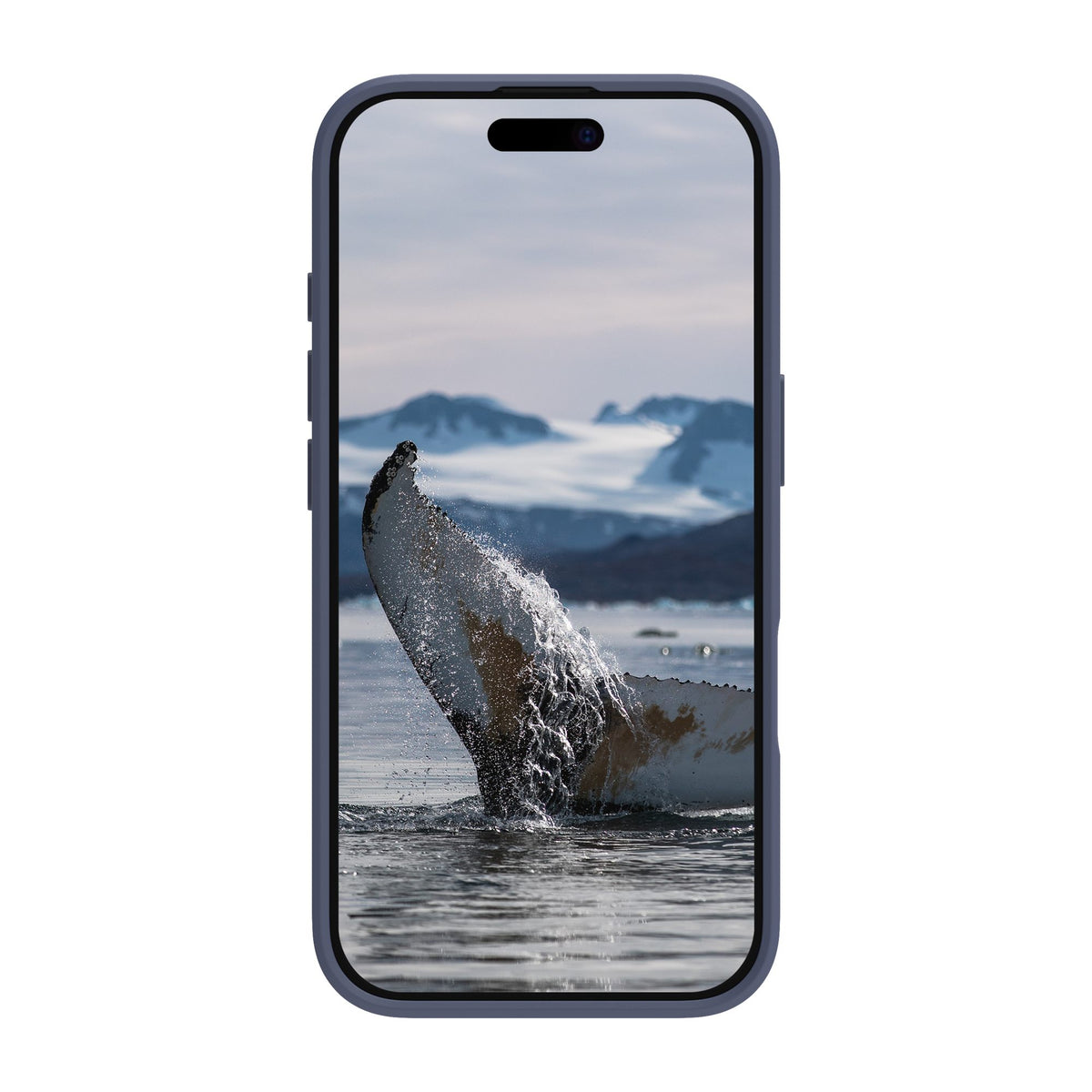 Greenland iPhone 16 Pacific Blue