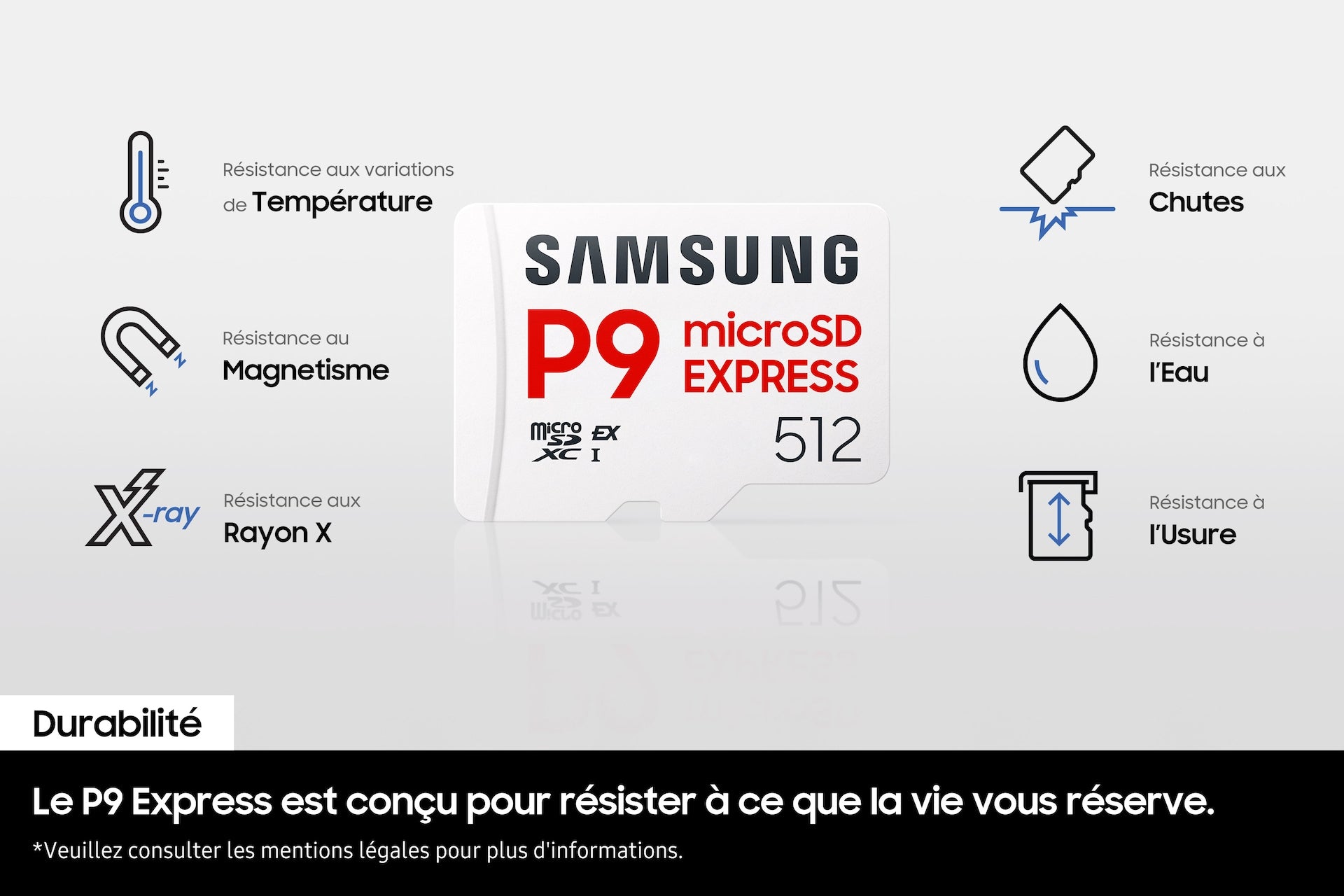 Samsung MicroSD 256GB P9 Express