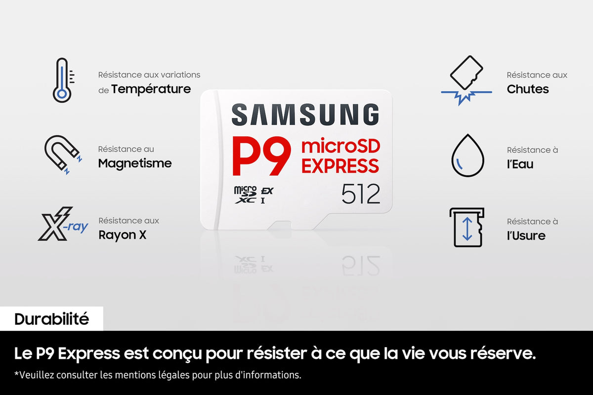 Samsung MicroSD 256GB P9 Express