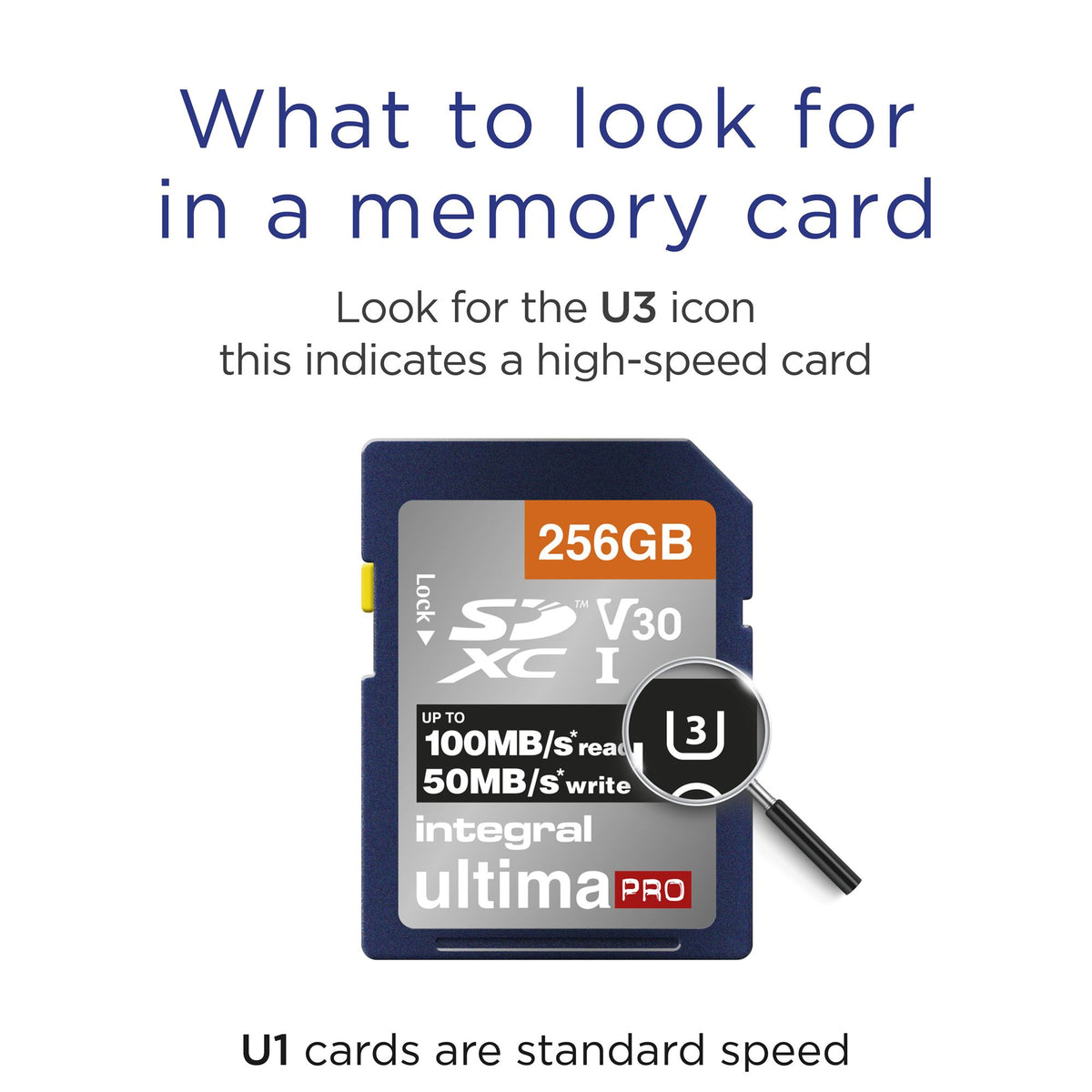 256GB SDXC CL10 UHS1 U3 V30-50MB/s