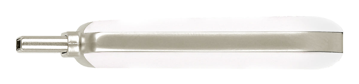 Plectra USB-C Flash Drive White 64GB