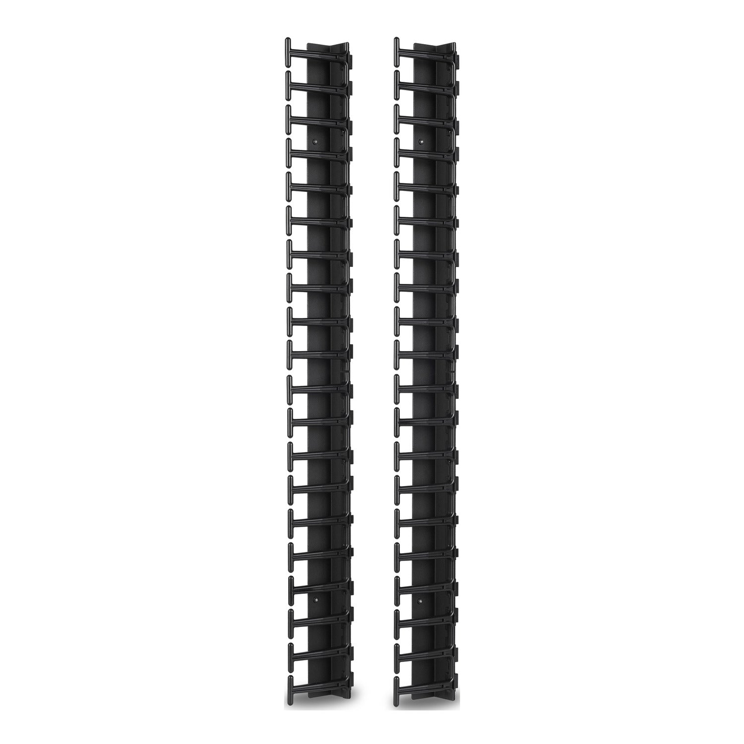 Vrt Cbl Mngr N/Shelter SX 600mm W 42U x2