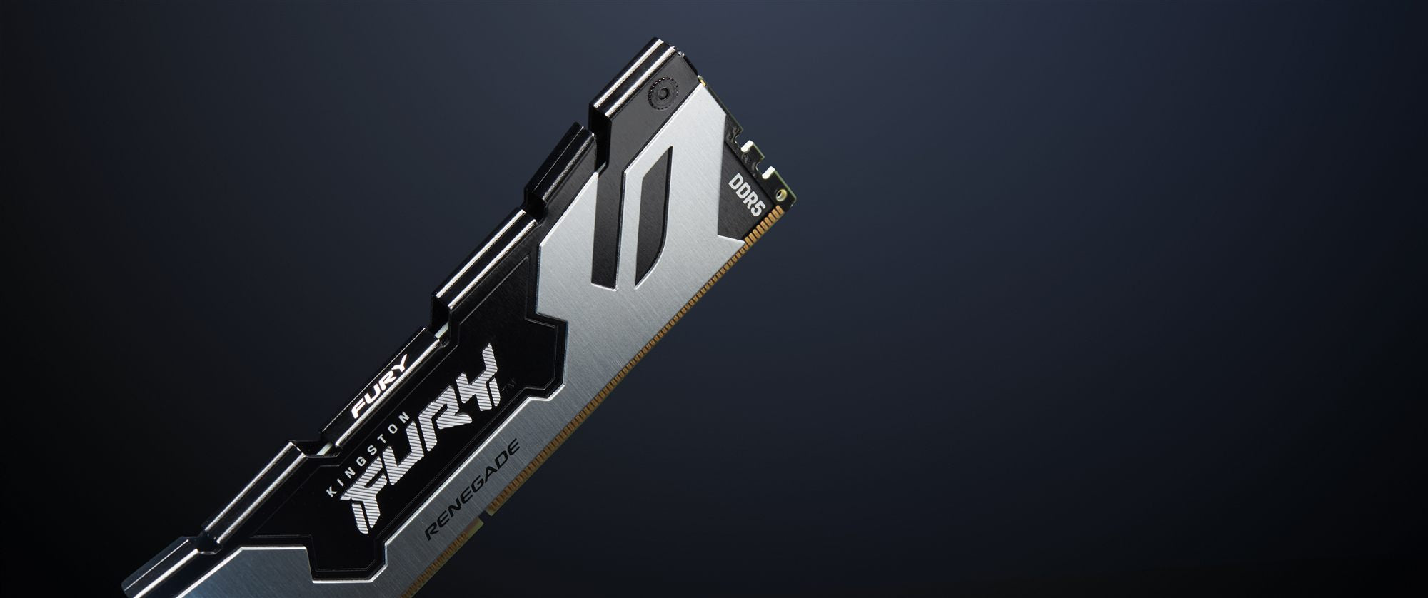 KINGSTON 48Go 8000MT/s DDR5 CL38 DIMM Kit of 2 FURY Renegade Silver