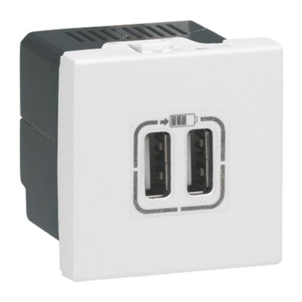 LEGRAND Plastron Mosaic 45x45 chargeur 2 ports USB