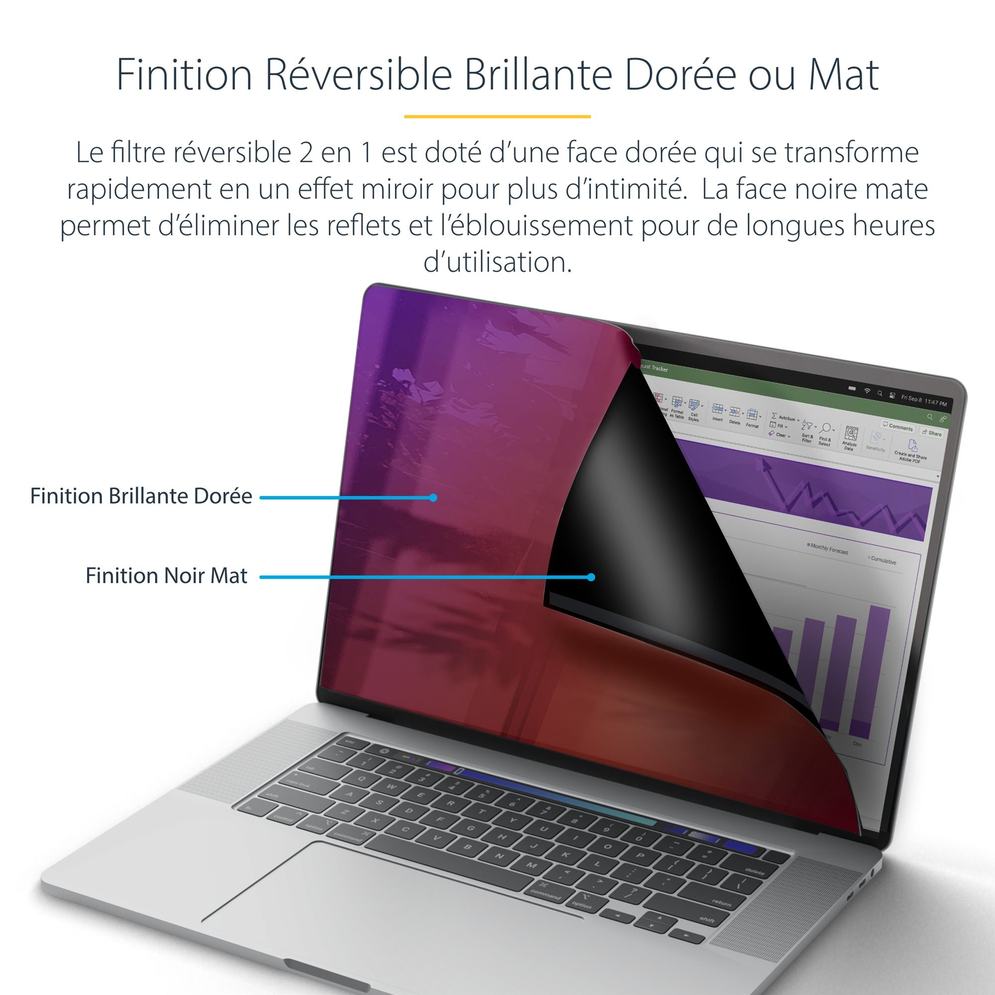 14in MacBook Gold Privacy Screen/Filter