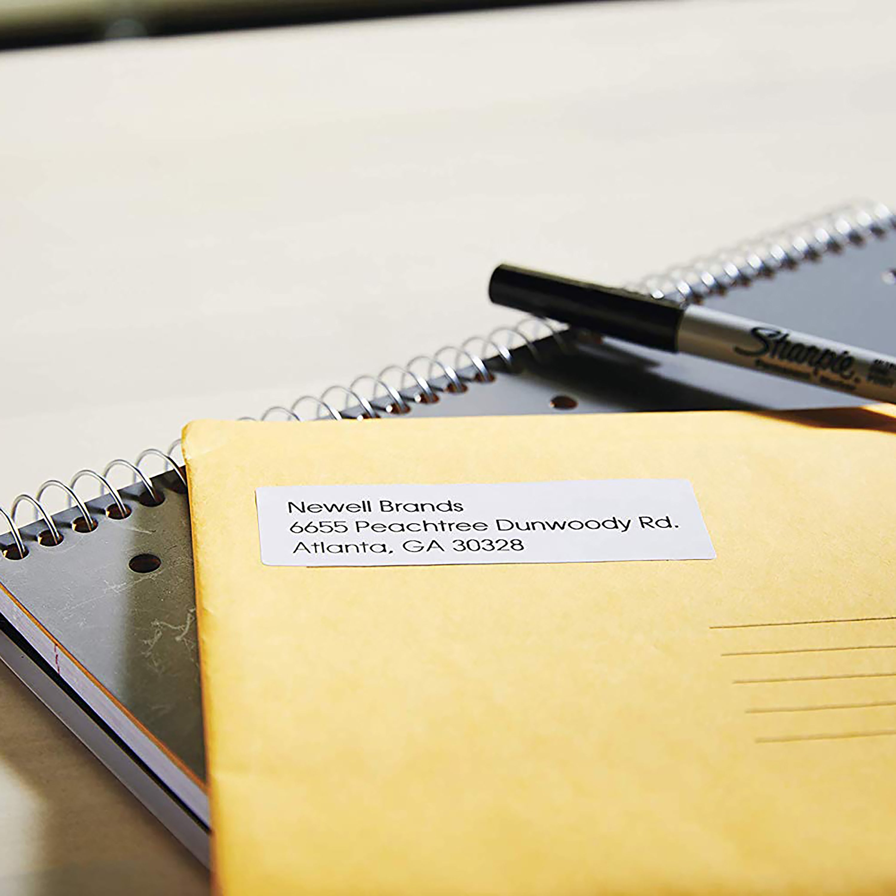 DYMO Etiquettes LabelWriter 12 x 500 étiquettes