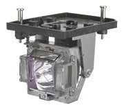 NP03LP LAMP