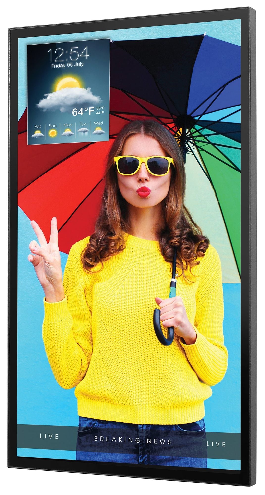 peerless 55" xtreme high bright sealed lcd display