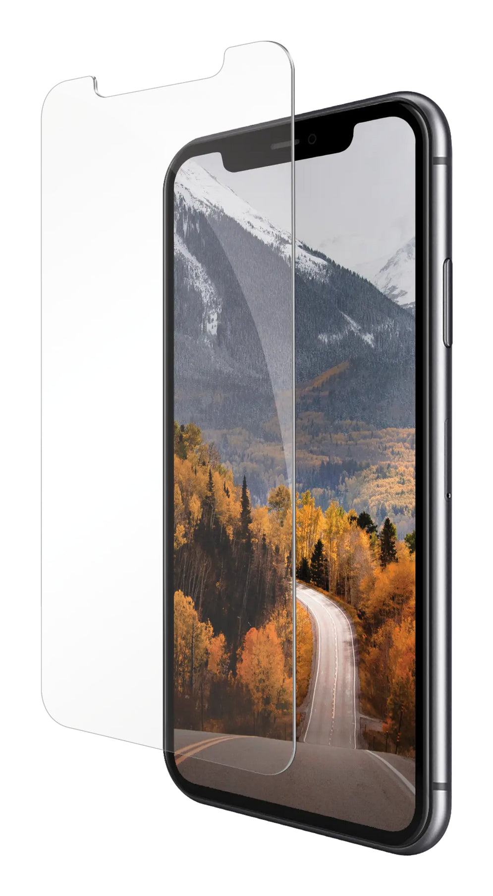 eco-protect iPhone 11/XR Clear