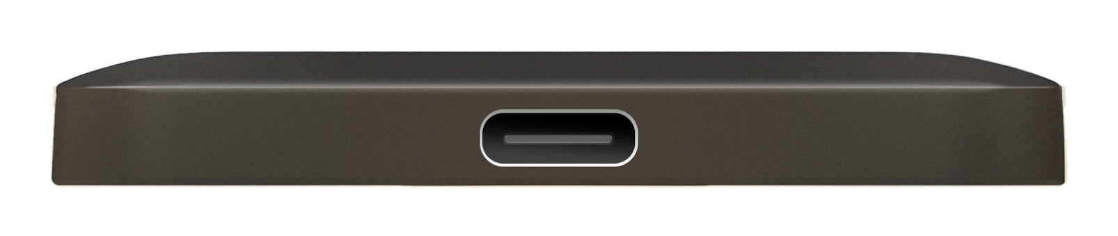 SnapBack SSD 1TB Mocha Metallic