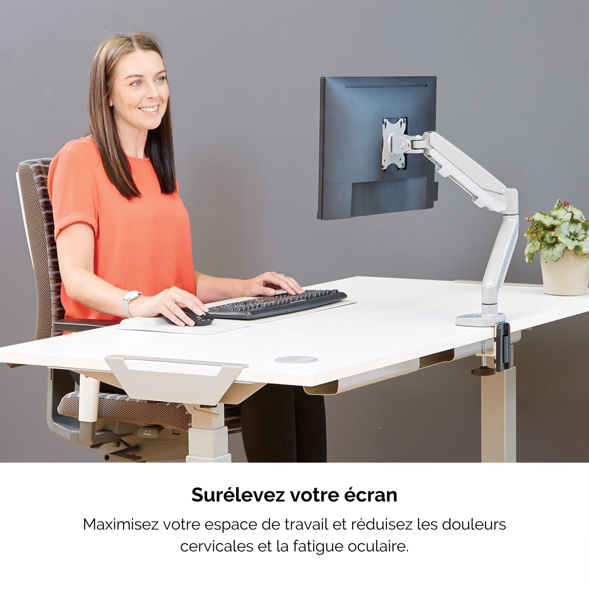 FELLOWES BRAS ARTICULE EPPASINGLE SILVER compatible jusqu’à 39 POUCES