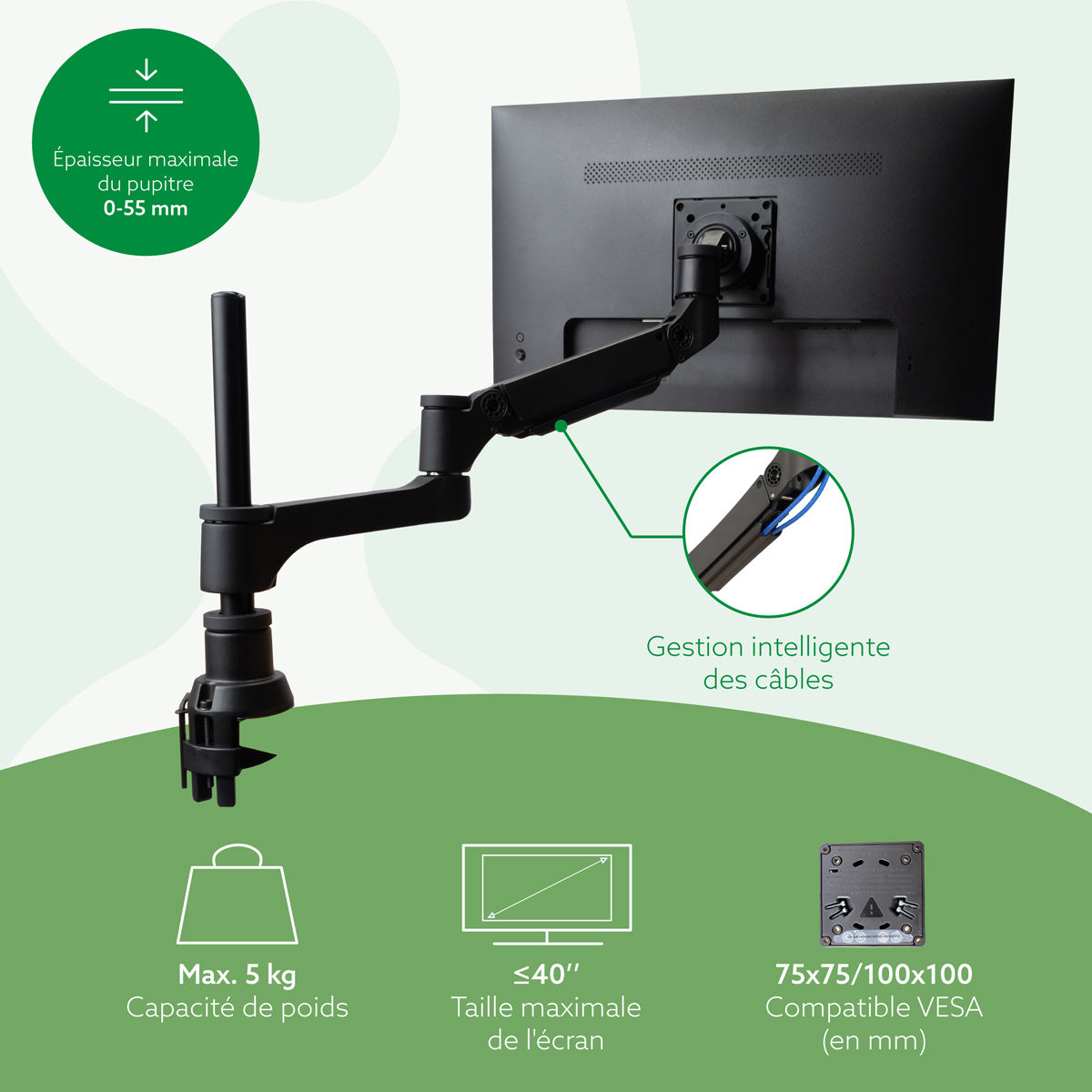 R-GO TOOLS Bras d écran Caparo, 1 écran, vérin à gaz