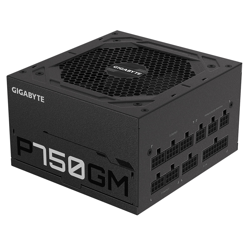 Gigabyte P750GM - 750 W - 100 - 240 V - 50 - 60 Hz - 12-6 A - Actif - 16 ms
