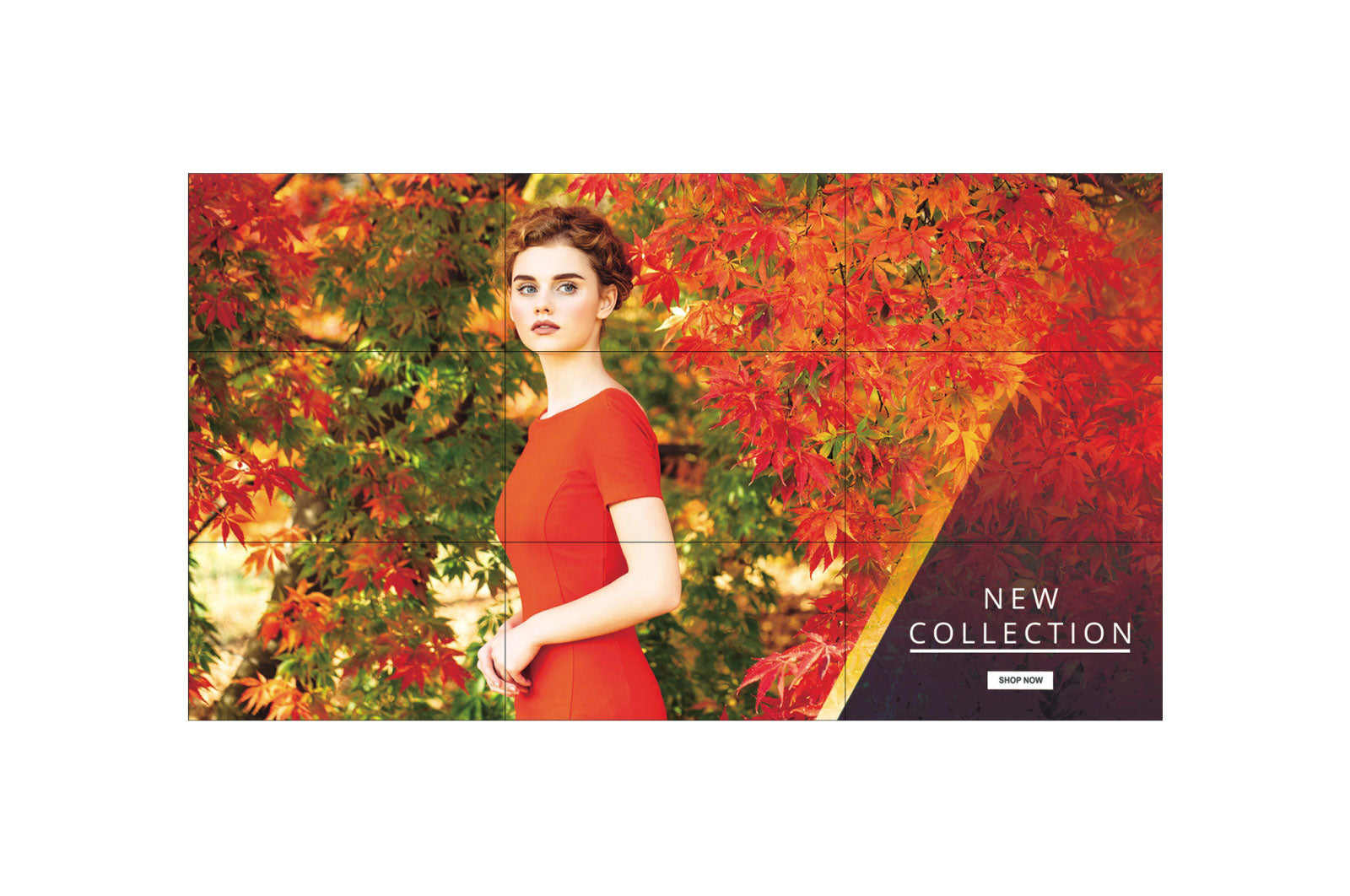 LG afficheur professionnel mur d écrans 55"  55VH7E-H FHD 24/7