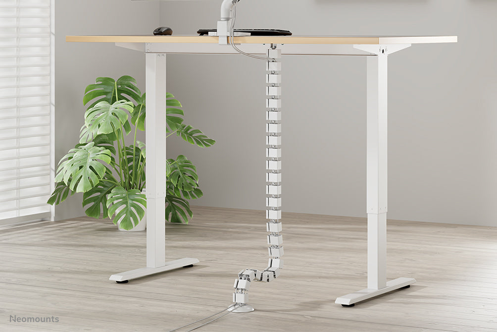 NEOMOUNTS Cable Spine Organizer for sit/stand desk frames screw mounted white