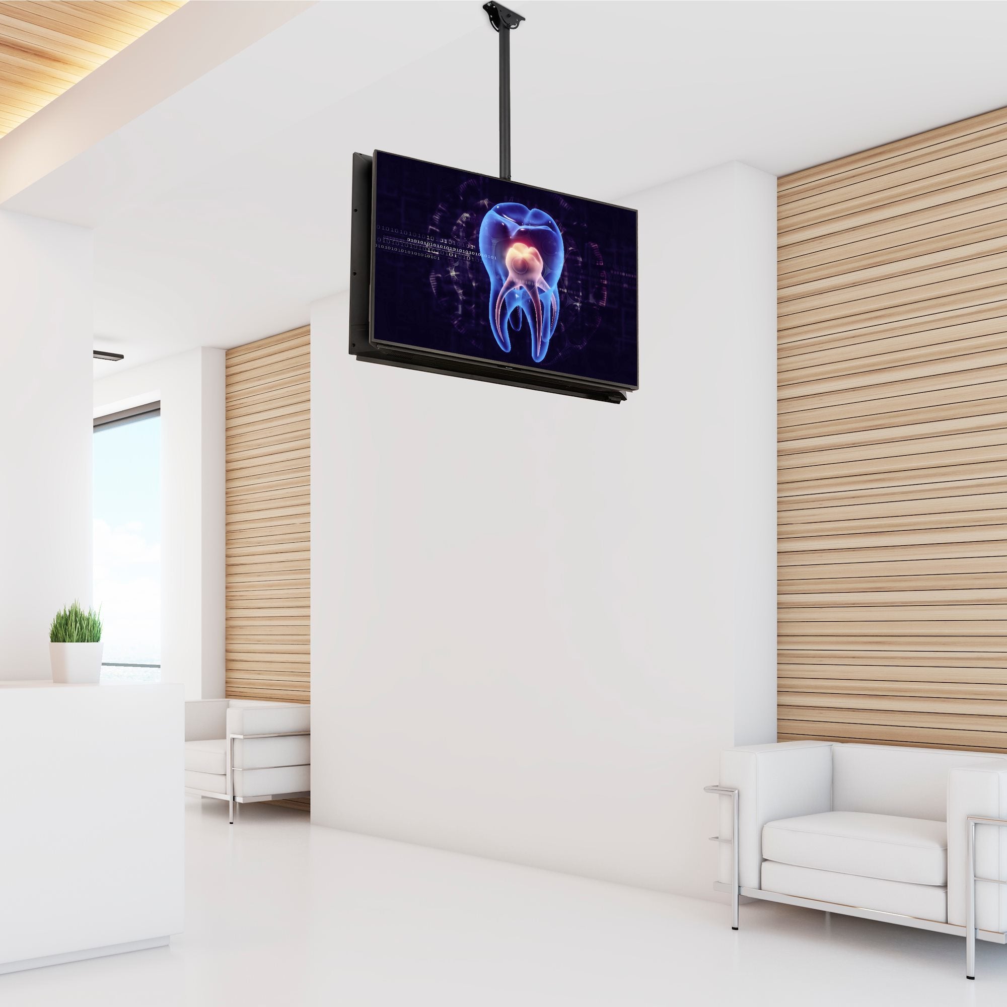 TV Mount - Ceiling - Dual Back to Back