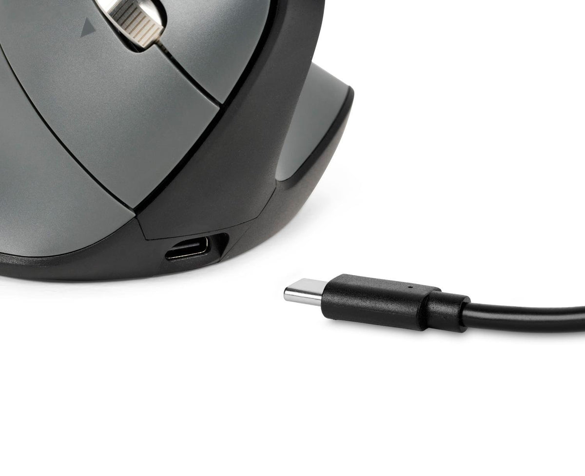 BAKKERELKHUIZEN Souris verticale FastForward Pro 3 Mode