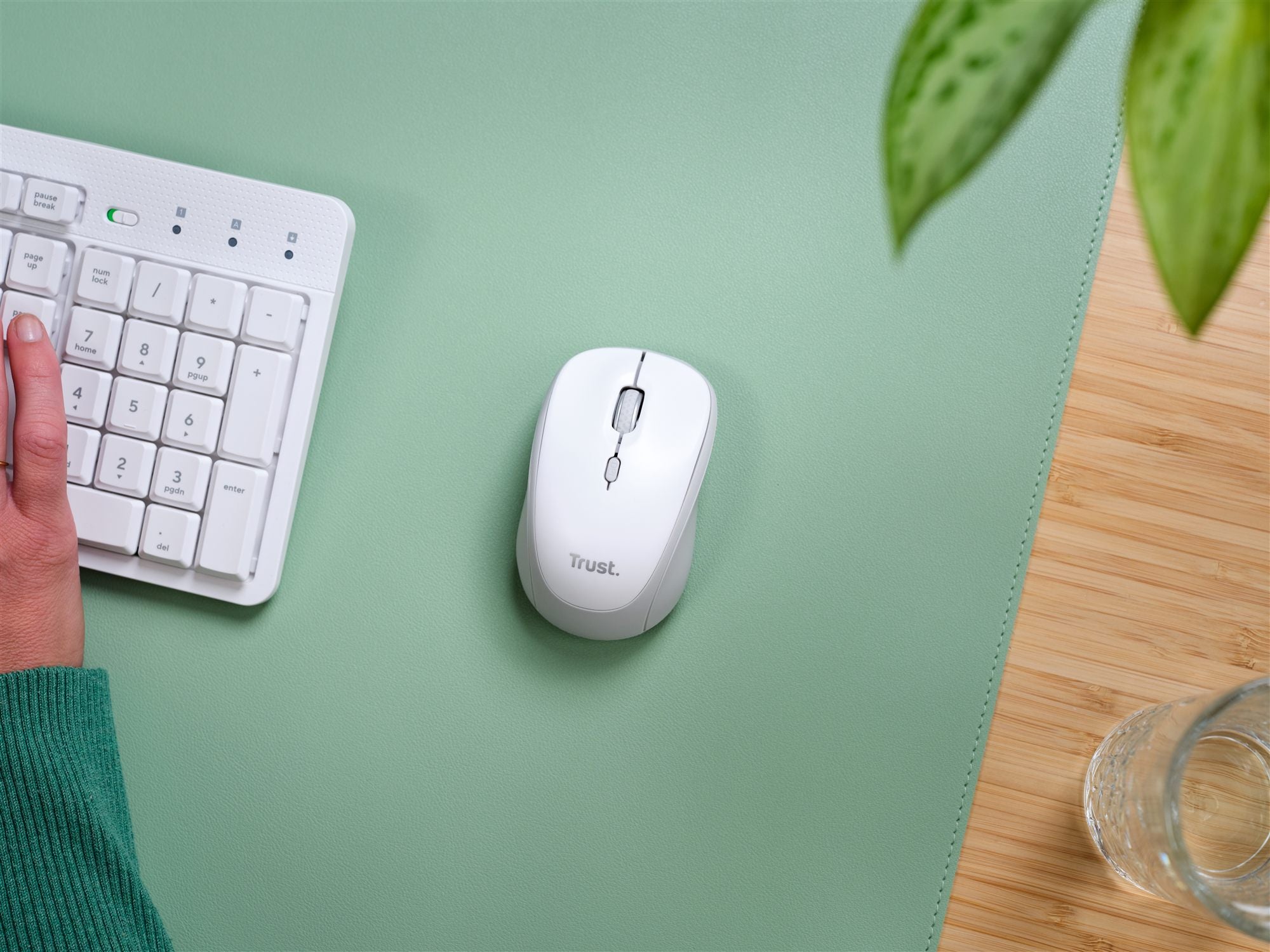 TRUST Souris sans fil compacte YVI+ Multi-connexion Bluetooth + 24 Ghz - Noire