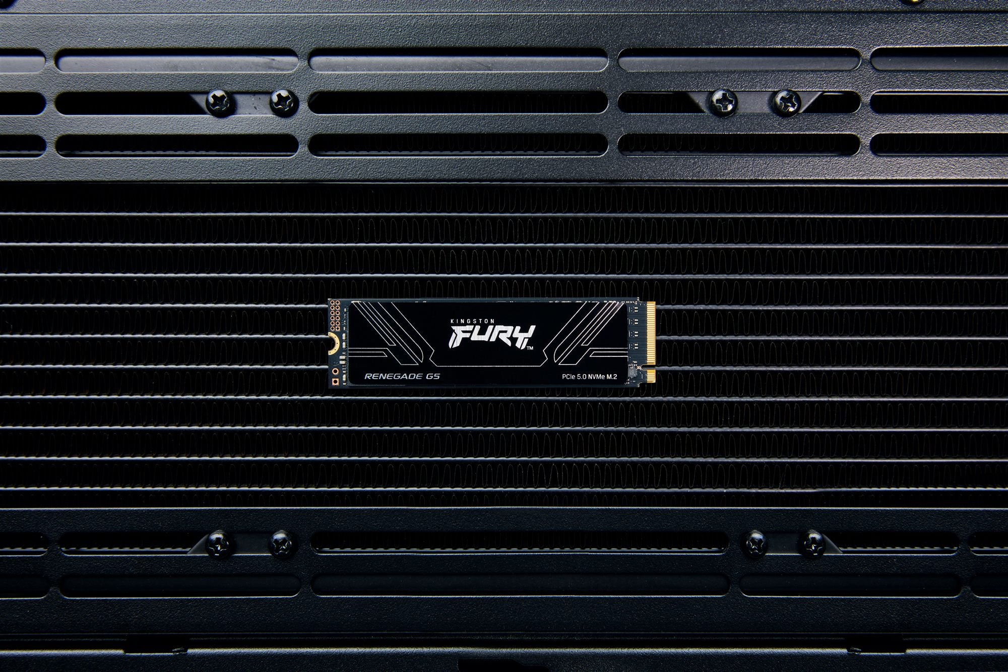 KINGSTON FURY Renegade G5 2048Go PCIe 5.0 M.2 NVMe SSD