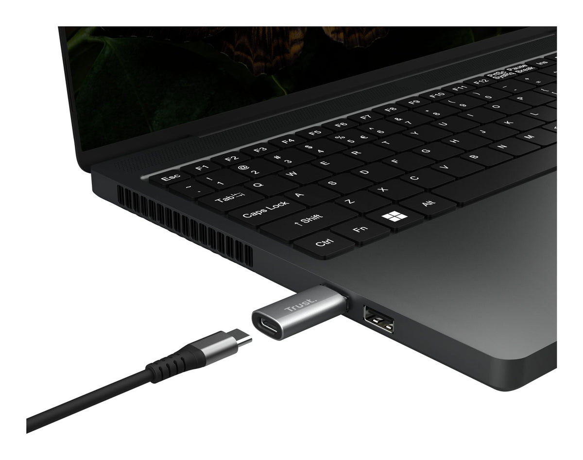 TRUST Pack de 2 adaptateurs USB-C vers USB-A
