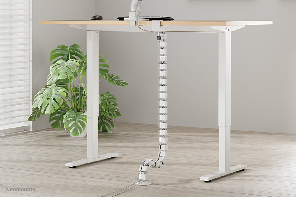 NEOMOUNTS Cable Spine Organizer for sit/stand desk frames clamp mounted white