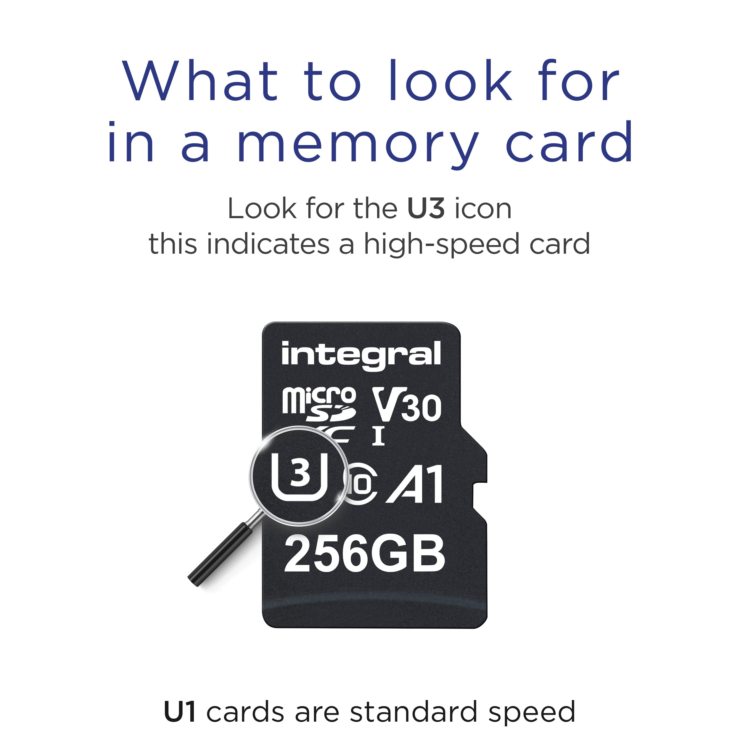 Premium HS microSDHC/XC V30 UHS-I 256GB