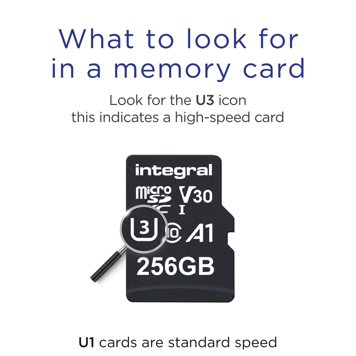 Premium HS microSDHC/XC V30 UHS-I 256GB