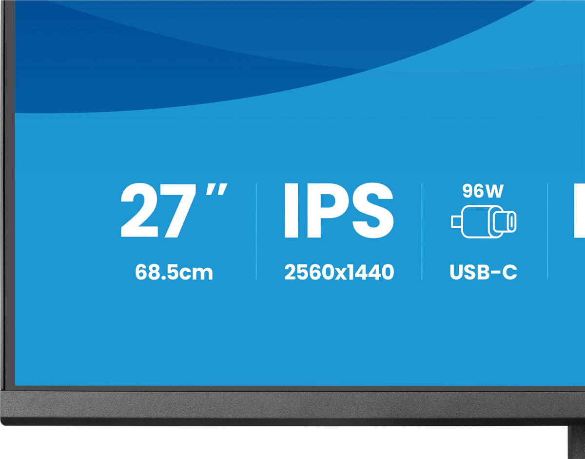 27""W LCD Business QHD IPS USB-C Doc